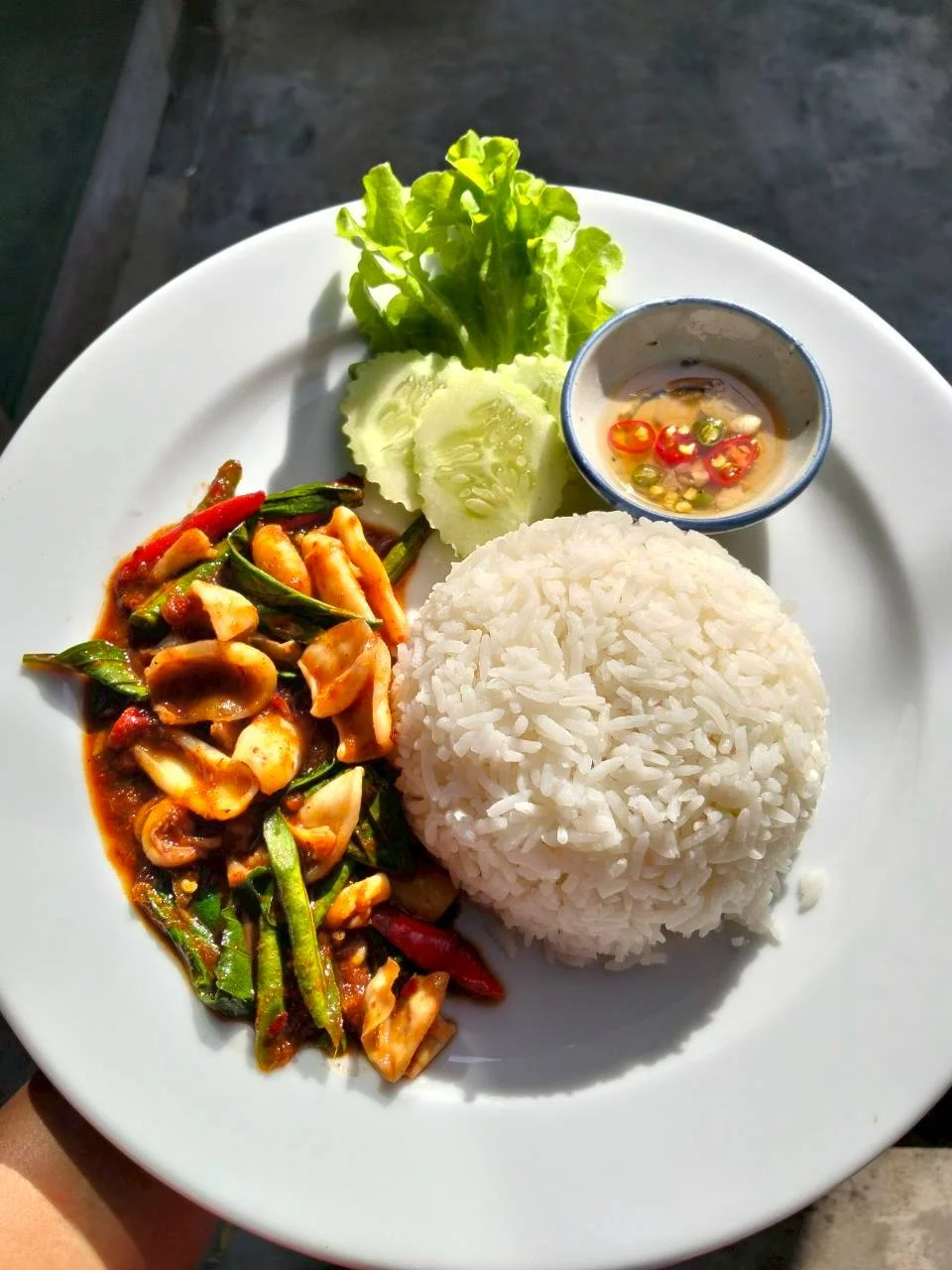 ข้าวราดผัดพริกแกงกุ้ง/ปลาหมึก