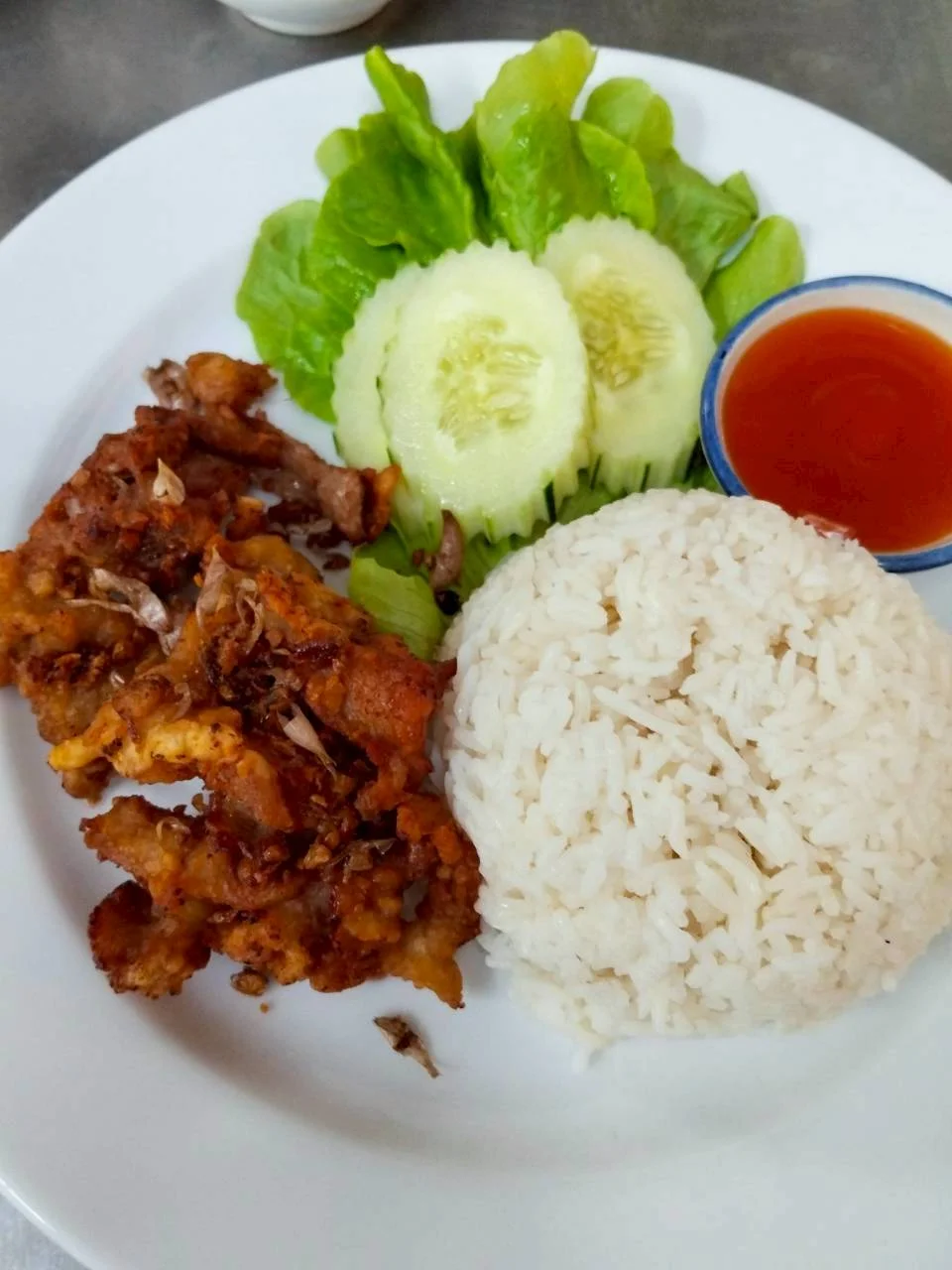 ข้าวราดหมู/ไก่ทอดกระเทียม