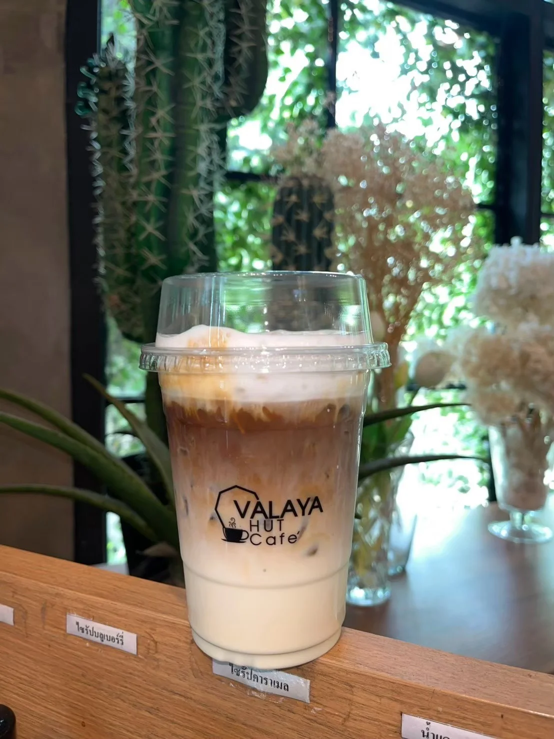 ลาเต้